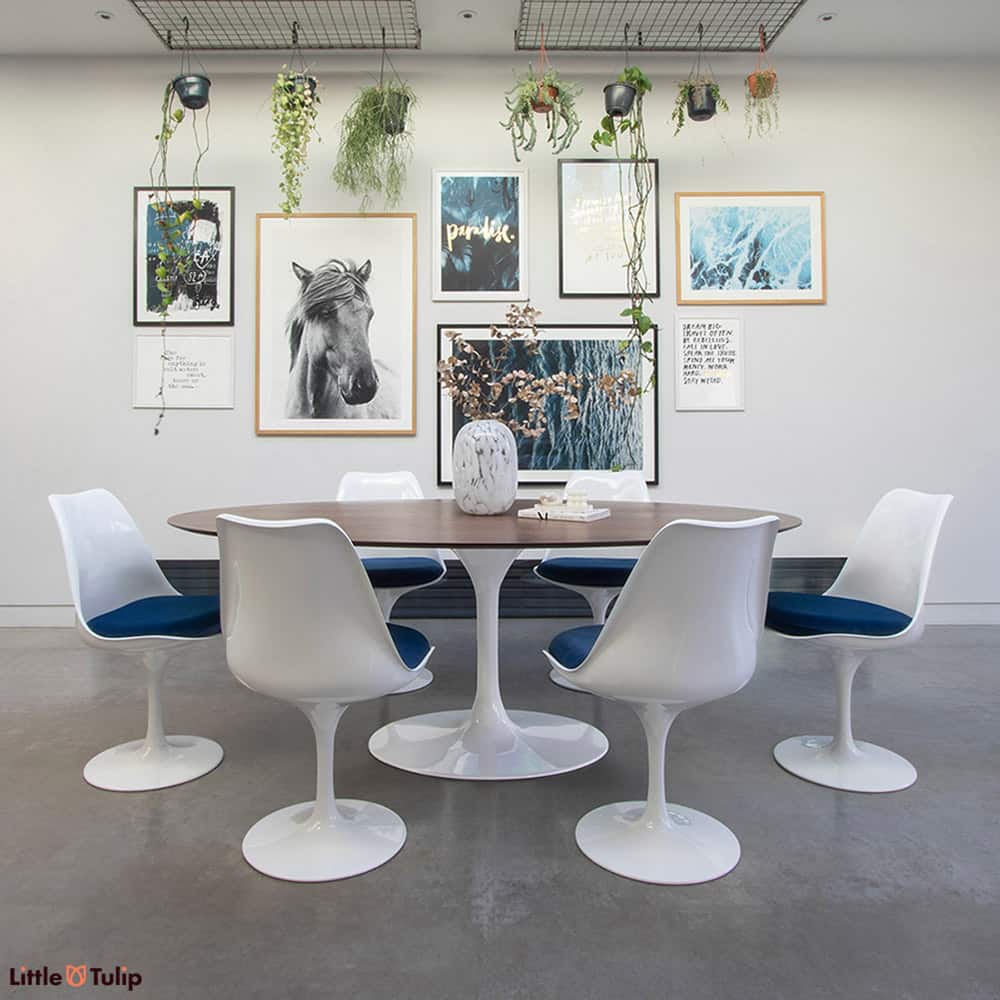 A modern kitchen, greenery, a Walnut topped Saarinen 200 cm Oval tulip table and six of the desirable Tulip Chairs finished with blue velvet cushions