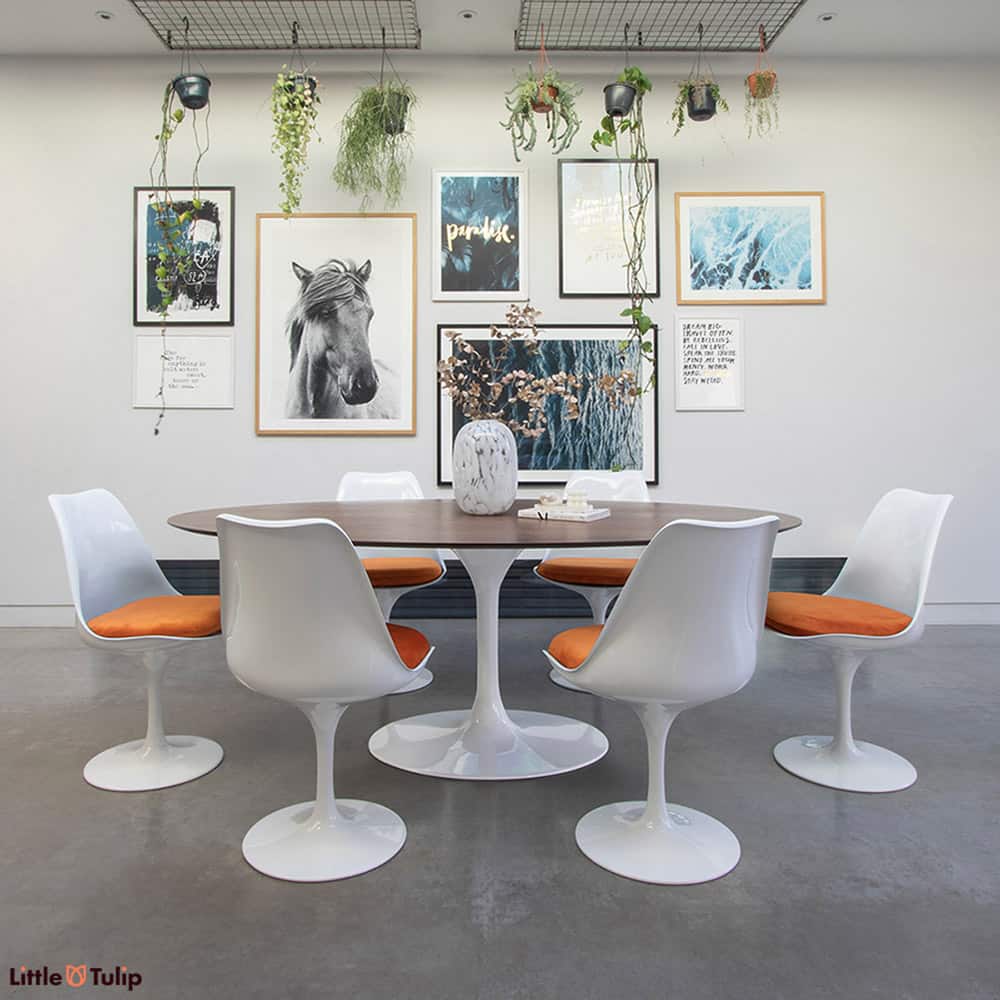 A modern kitchen, greenery, a Walnut topped Saarinen 200 cm Oval tulip table and six of the desirable Tulip Chairs finished with orange velvet cushions