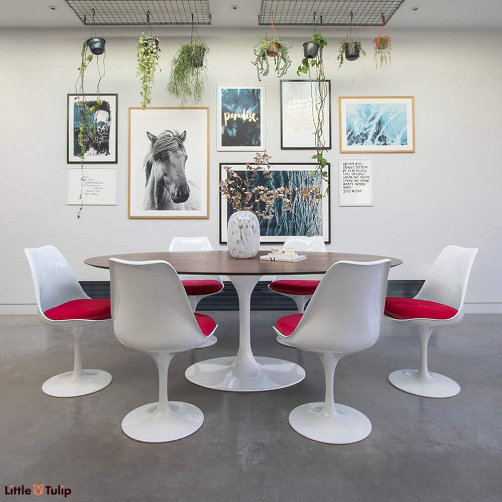 A modern kitchen, greenery, a Walnut topped Saarinen 200 cm Oval tulip table and six of the desirable Tulip Chairs finished with red velvet cushions